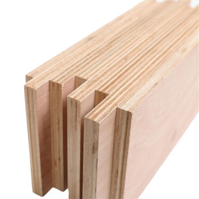 ENF Grade Sheet